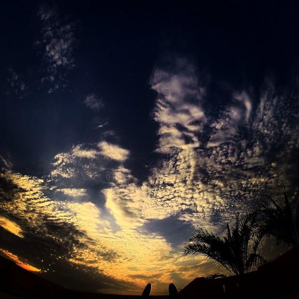 غروب الشمس 🌞🌴
<a href="/laqtanet/">لقطة</a> 

#لقطة
#تصويري
#رمضان
#رايكم