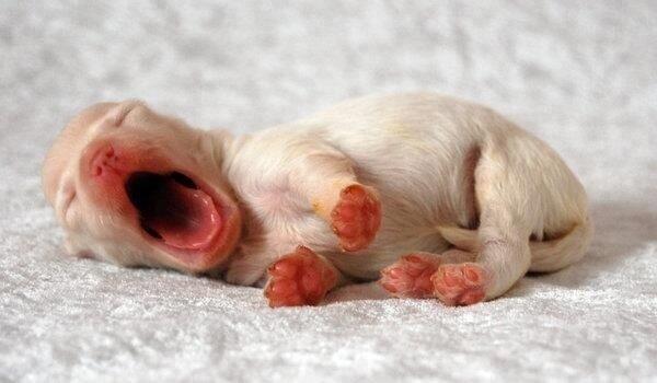 _Paisajes_'s tweet photo. ¡Qué sueño! http://t.co/nGcb55h1iy