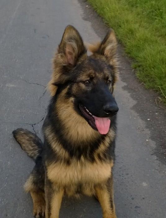 Good evening to you all from TPD Xena #TheOtherPrincess