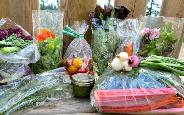 AkimboRap's tweet photo. What you get in a mid-summer CSA food basket  #localfood #NWT #HayRiver #YUM @FoodSecureCAN http://t.co/BqLmAkT9tl