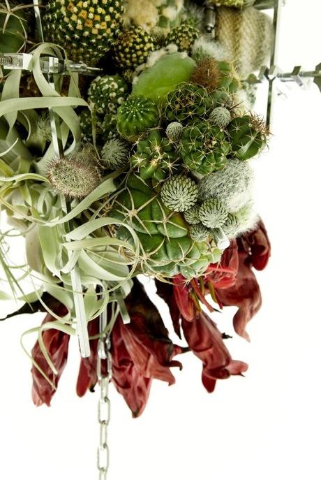 Countlan's tweet image. Azuma Makoto's stunningly complex cactuc/succulent/floral arrangement

Found at bit.ly/1rA2tPD