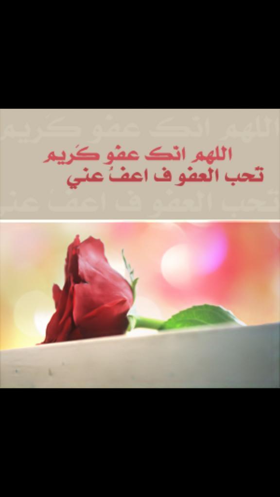 sho sho  tweet media