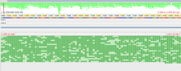 pathogenomenick's tweet image. The @nanopore read data quality is rapidly improving, here is newest chemistry and two-directional reads.