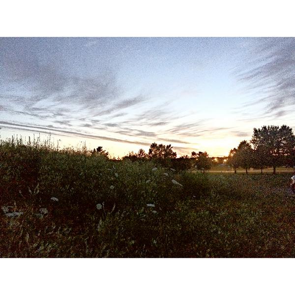 _alyspampinato's tweet image. Rise with the sun set, fall with the sun rise. #ReignFeature #Reign #Ashbridges