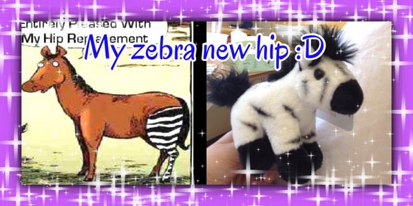 abbieritchie12's tweet photo. Zebra hip http://t.co/c9JbClPIv8 http://t.co/sLPqQBSKbe