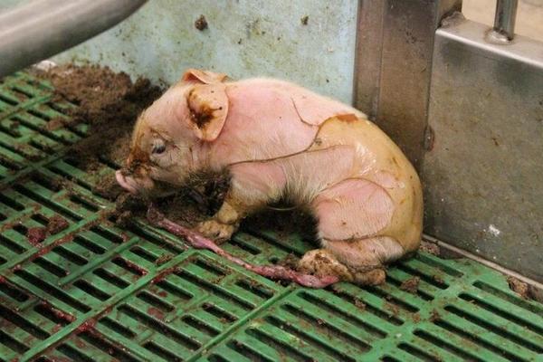 Matt_Dominguez's tweet photo. “The world will not be destroyed by those who do evil, but by those who watch them without doing anything” A.Einstein http://t.co/s9FQBjCPbp