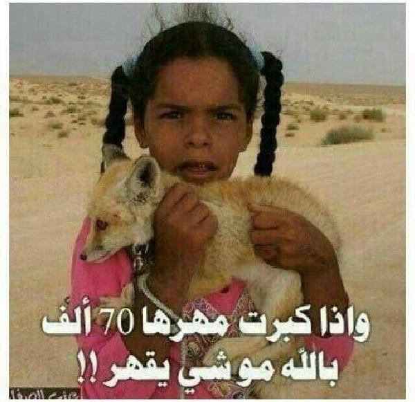 236fea66's tweet photo. #غرد_بصورة http://t.co/qxdU17mN2R