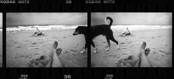 Life is definitely elsewhere.
Sohrab H.