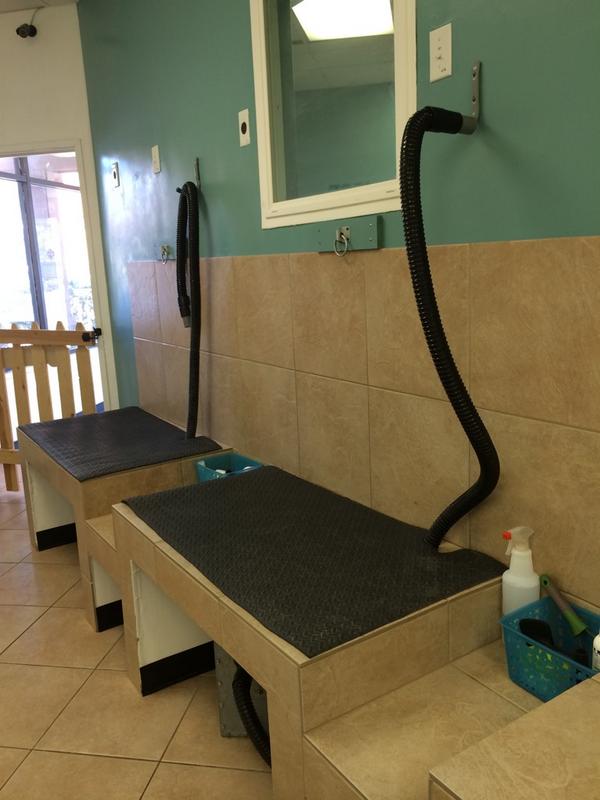 Dirty Paws Pet Wash (dirtypawsSD) Twitter