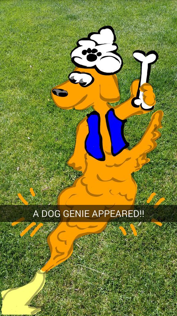 Shonduras's tweet photo. My dog found a dog genie today and got 3 wishes!! One of his wishes was for more friends! #koopa #addingpeople http://t.co/m1VBWeLmFS