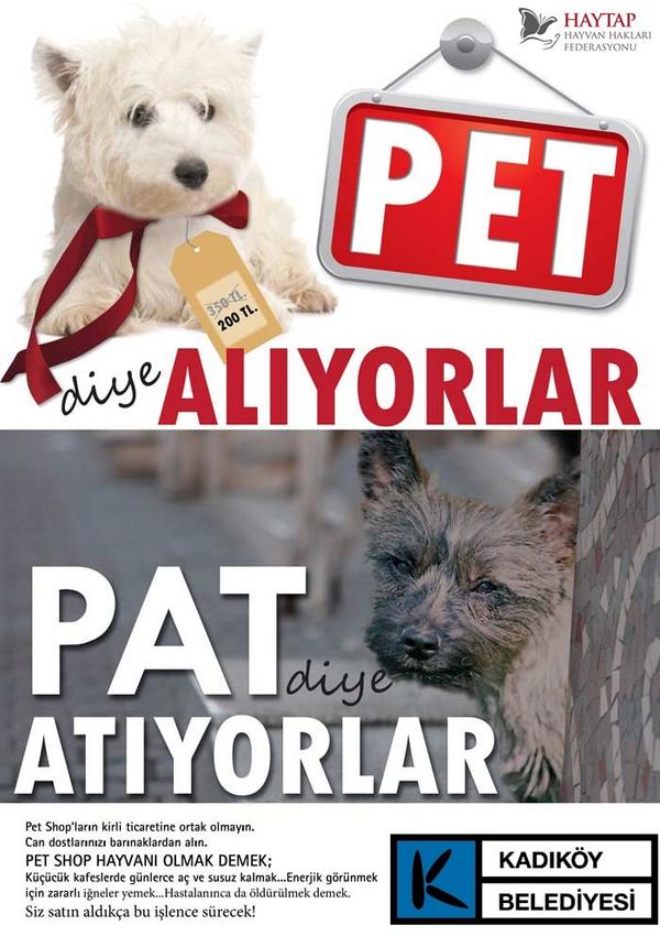 #türkiye #istanbul #kadıköy #Tuerkiye  #turkiye #kadikoy