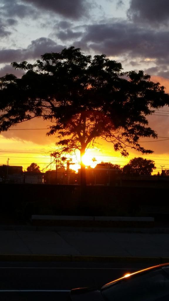 rofrong9103's tweet image. #burningtree