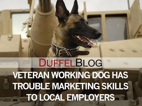 DuffelBlog's tweet image. This hero needs our support. ift.tt/1rflbKC