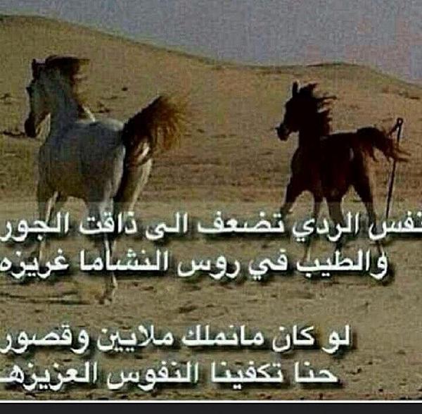غزاي الهاجري  (@c2y5) on Twitter photo 
