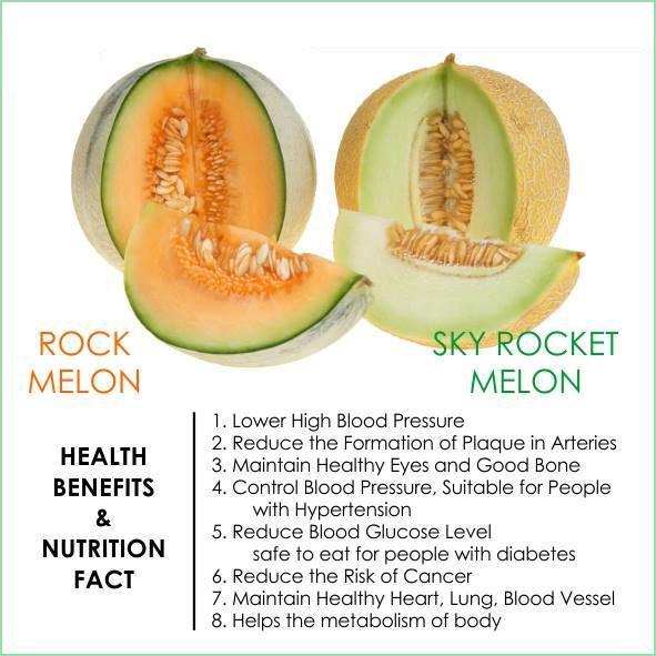 melon-latest-news-breaking-news-headlines-scoopnest