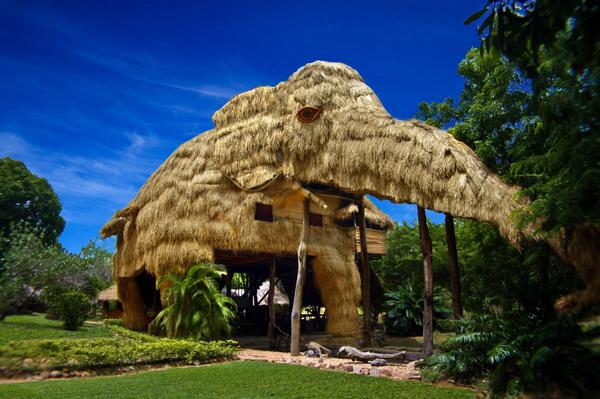 KumbukRiver's tweet photo. Amazing KumbukRiver, Just U$D 50 a night...Wow, ha? http://t.co/62dCtHZF6R