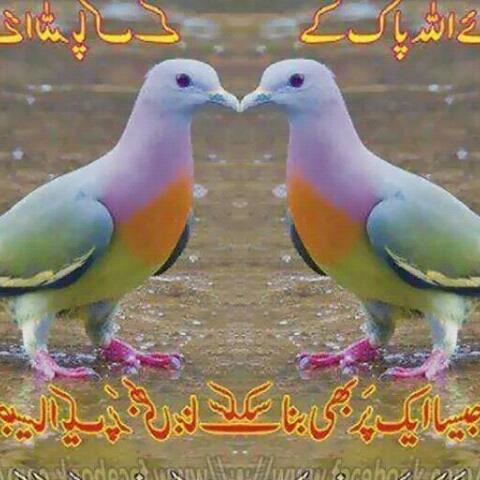 sajedul6's tweet photo. http://t.co/w8laWPKCQd