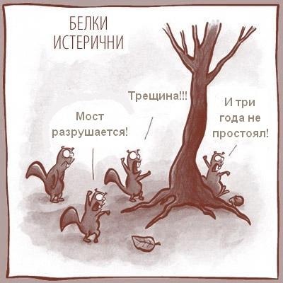 Константин Де Брильи (@dambs) on Twitter photo 
