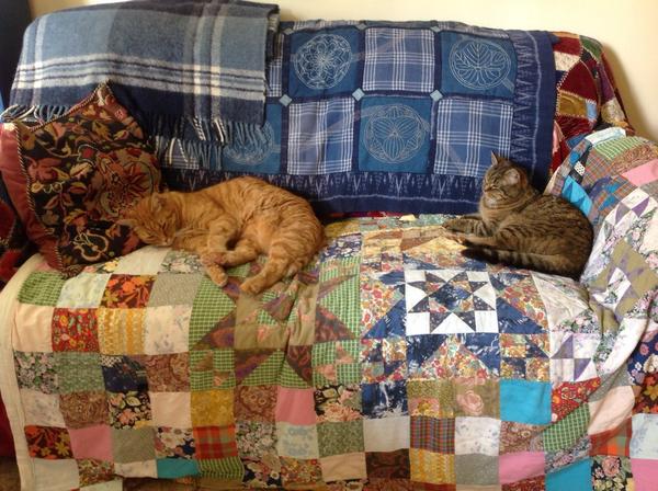 celiahart's tweet photo. My studio assistant are on the studio sofa.
#supportiverole http://t.co/fU5J66A1CA
