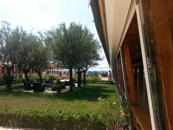 steingier tweet picture