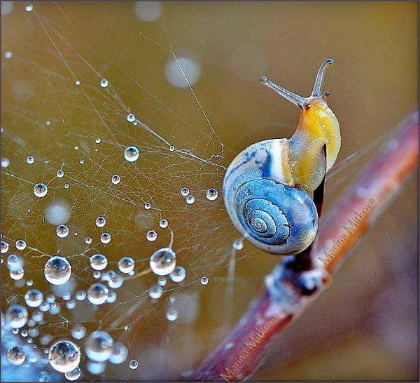 Gabriele_Corno's tweet photo. Fast..... by Marina Mitkova Naydenova http://t.co/12g5BgMinF