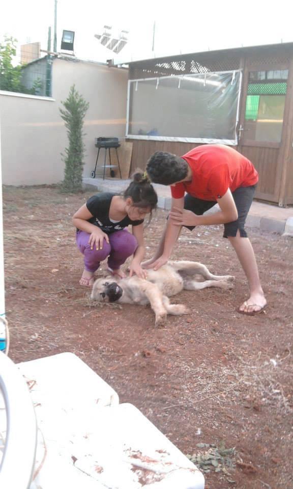 köpişim gülüyor :))