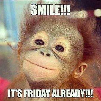 Anne Marie O Connor Dfa73 Happy Friday Handsome Scorchio Http T Co Z2zmynqhqi Twitter