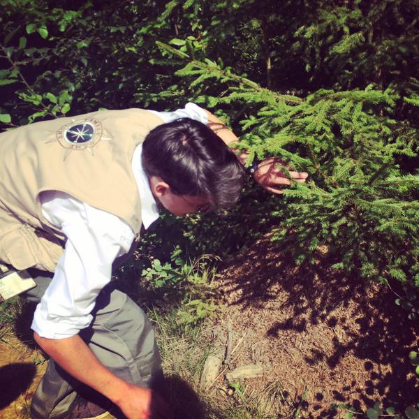 Center Parcs France tweet media