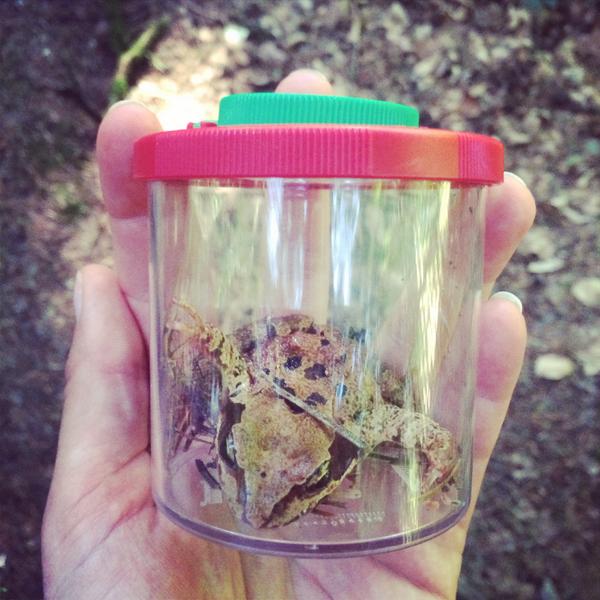 Découvrez pendant tout l'été, l'activité Exploration #Nature à <a href="/CP_troisforets/">CP</a> &gt; bit.ly/1mM13eY #famille