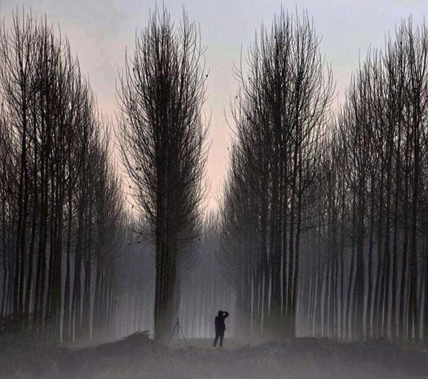 Simmetry .... by Silena Lambertini