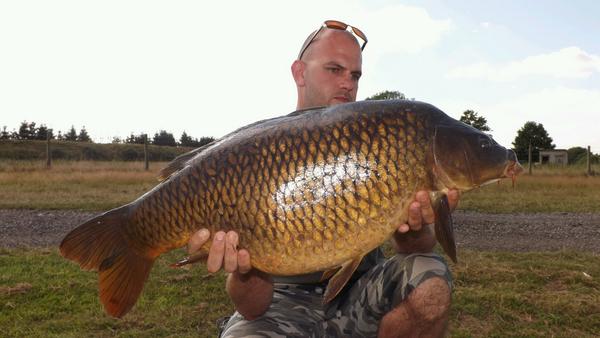 20 common #stalking #nectar #badenhall