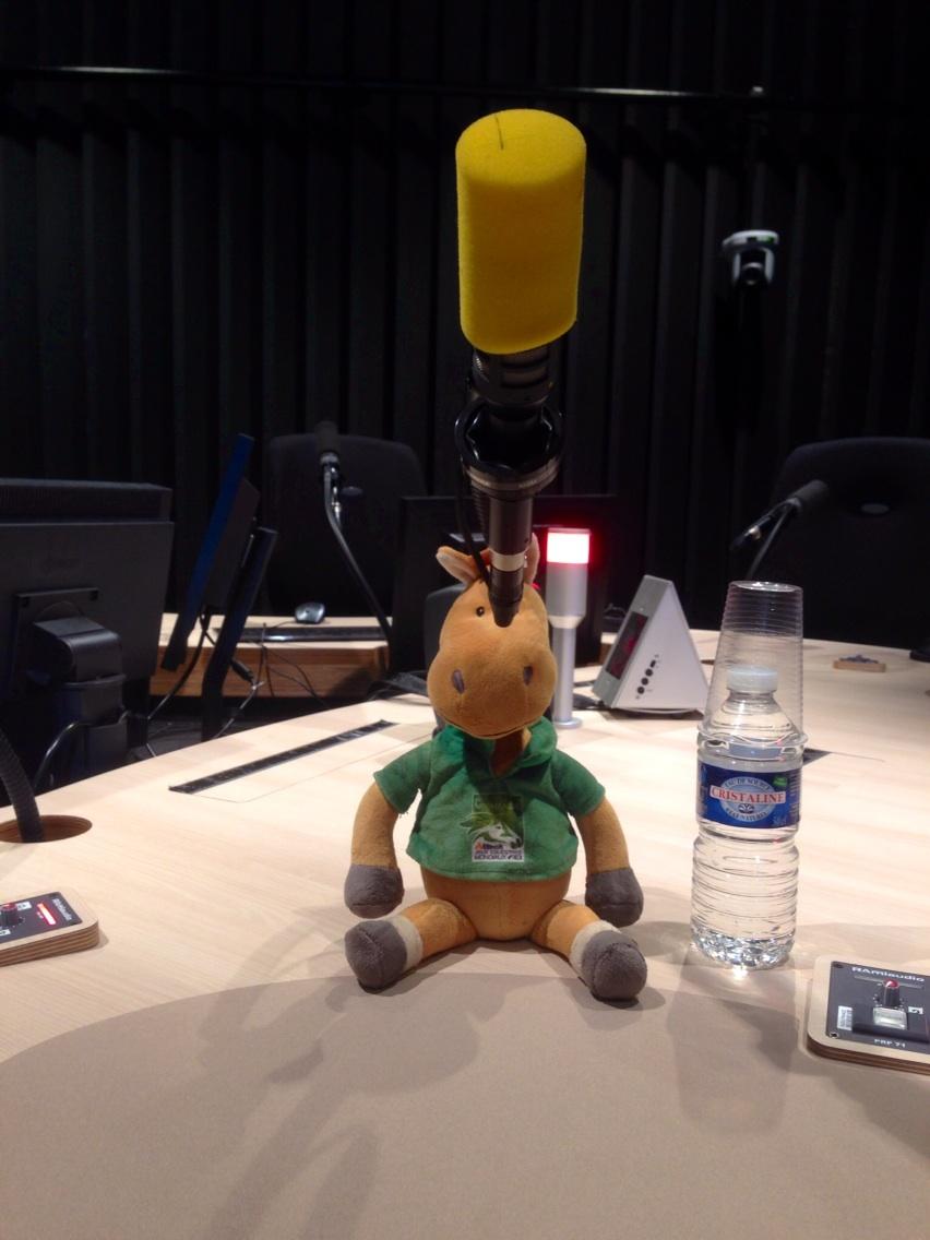 Permalien de l'image intégrée