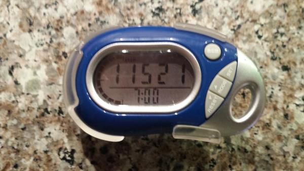 penst8CE's tweet image. @rkk_social 11,500 steps by 7 AM.  Time to step it up!  #stepcompetition