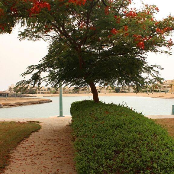 mooz4u's tweet photo. عروض العيد مستمره 

شاليه للايجار بدره العروس http://t.co/ii6qK9XH9G