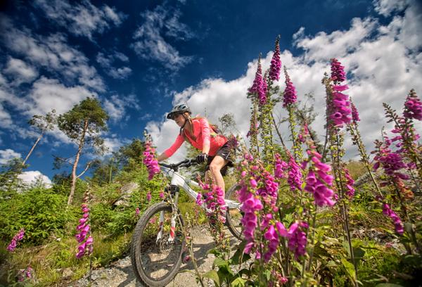 MountainBikeNI's tweet photo. Making the most of this amazing summer weather on the Davagh Forest Trails in County Tyrone #Davaghrocks @barrabest http://t.co/cA8qQ9Ghvr