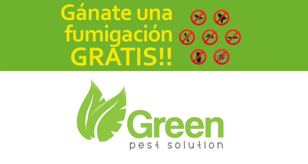 Greenpestrd's tweet photo. HAZ Clic AQUÍ y entérate como puedes PARTICIPAR: https://t.co/BcZlK1dp6X http://t.co/WF7oLQo9J6