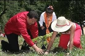 CHAVEZ VIVE, LA LUCHA SIGUE. MISIÓN ÁRBOL TACHIRA.
