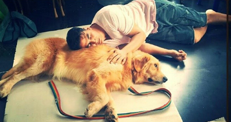 Permalien de l'image intgre