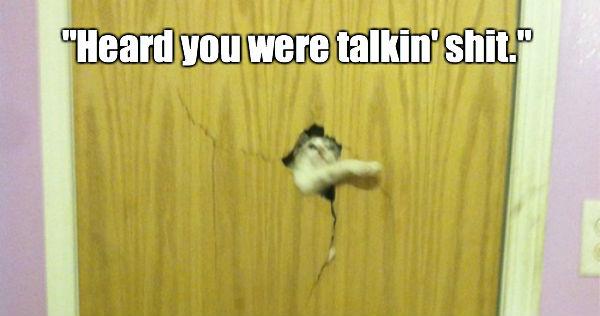 FunnyPicsOnly's tweet photo. http://t.co/LQkl4RKTsL