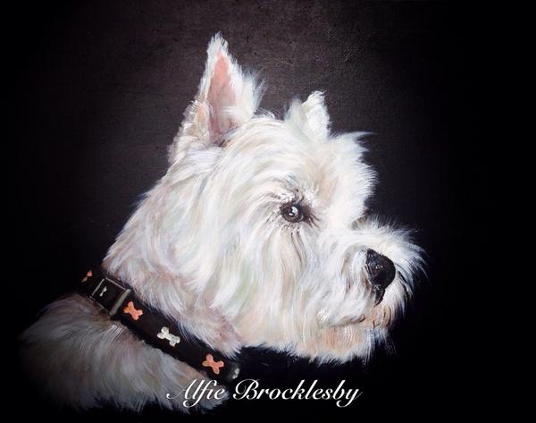 JaniceStubbs3's tweet photo. This was a Rescue dog I did for A friend always looks great with a black background #westiedog #art #rescued http://t.co/qVC4TmvIaG