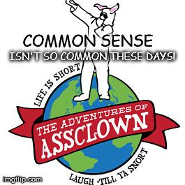 Common sense is slowly drifting away into the distance....like a log in a river.
