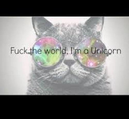 IAmUnicornElita's tweet photo. #Unicorn #AlterEgo #Otherkin http://t.co/qTgoBTHoAO