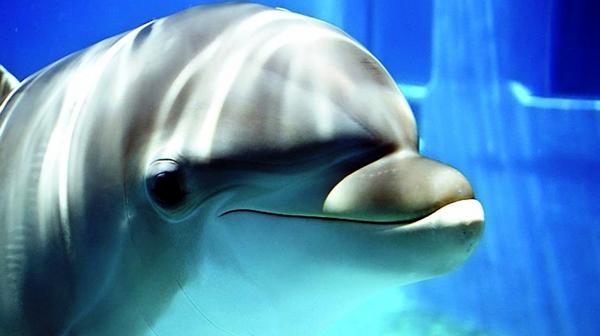 mylife913's tweet image. wow beautiful.