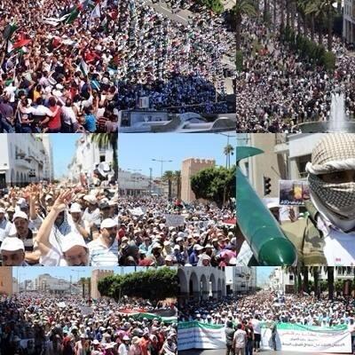 مصطفى فرحات tweet media