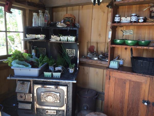 Tomatoes, chard, blackberries, lettuce, fresh herbs, fresh picked Hamilton Cove Farm, #razorpointrd #penderisland