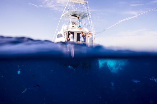 SportFishingMag's tweet photo. UNDER THE BOAT: Ross Early/@FishEarlyBird's uw glimpse of #mahimahi off Islamorada, Fla. - http://t.co/sNKgqjOpnv http://t.co/sZfsLbtGjF