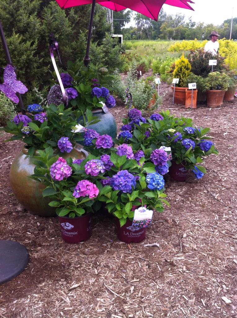 Ball Horticultural on X