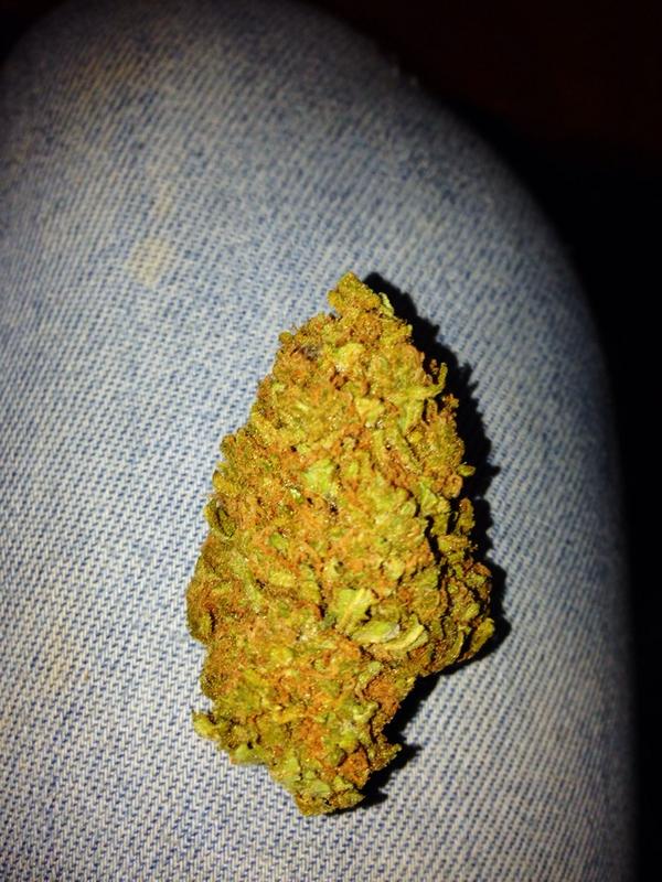 MBonyer's tweet photo. Sweed Black Angel #indoor @GrowLandiaOFI http://t.co/GDeIFm9twF