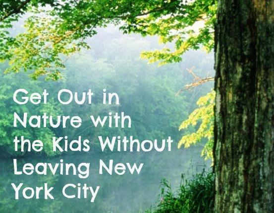 MelissaSChapman's tweet photo. Get Out in Nature with the Kids Without Leaving New York City http://t.co/J738ol1BAc #familyfun #NYCWeekends http://t.co/lAtJ6kWOAj