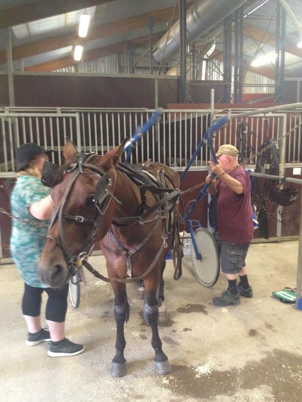 Prepping this bad boy for his big race! #gwanyoubeauty